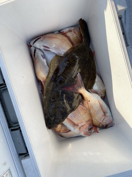 リトルワン 釣果