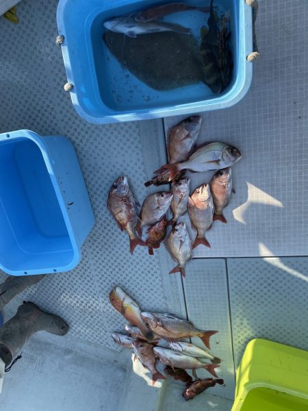 リトルワン 釣果