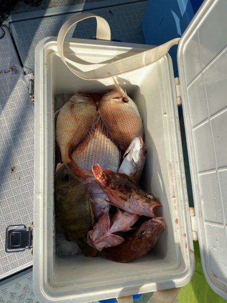 リトルワン 釣果