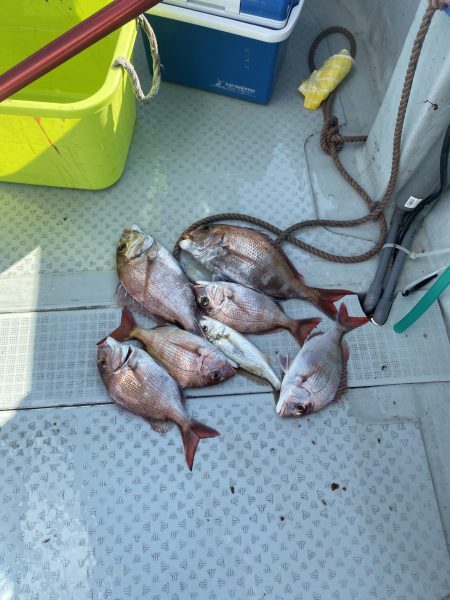 リトルワン 釣果