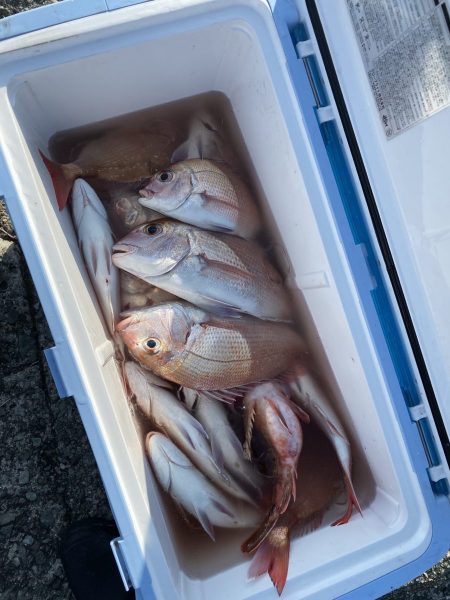 リトルワン 釣果