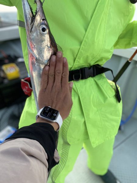 リトルワン 釣果