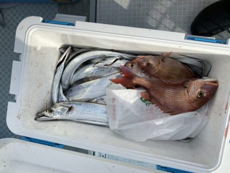 リトルワン 釣果