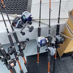 リトルワン 釣果