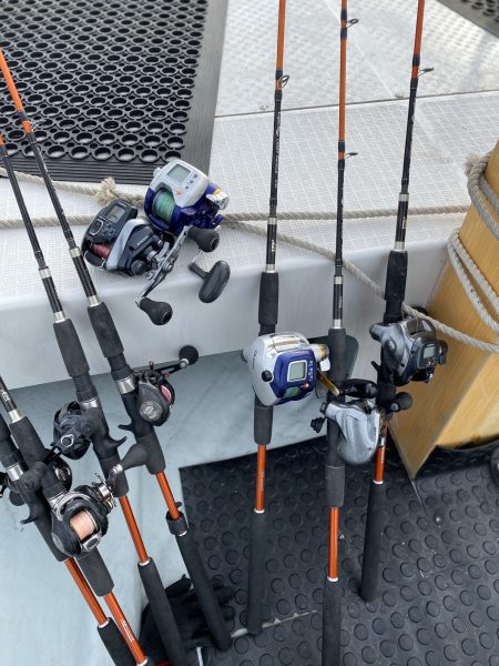 リトルワン 釣果