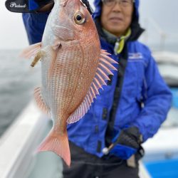 リトルワン 釣果