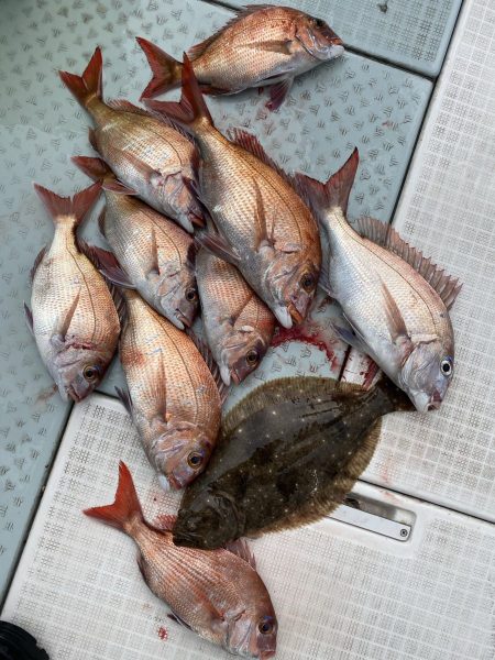 リトルワン 釣果