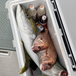 リトルワン 釣果