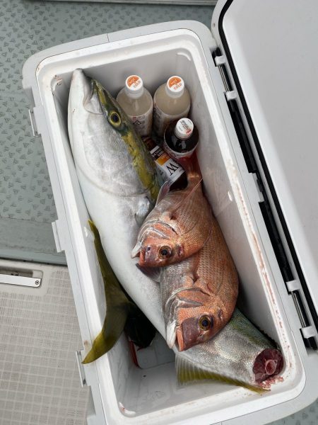 リトルワン 釣果