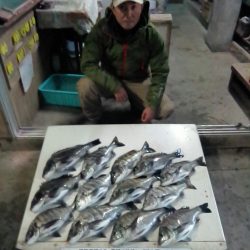 ふじや釣舟店 釣果