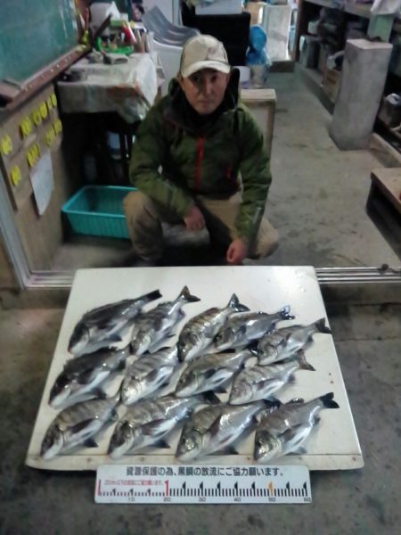 ふじや釣舟店 釣果