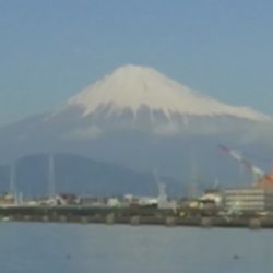 ふじや釣舟店 釣果