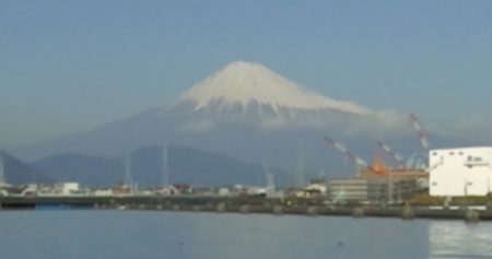 ふじや釣舟店 釣果