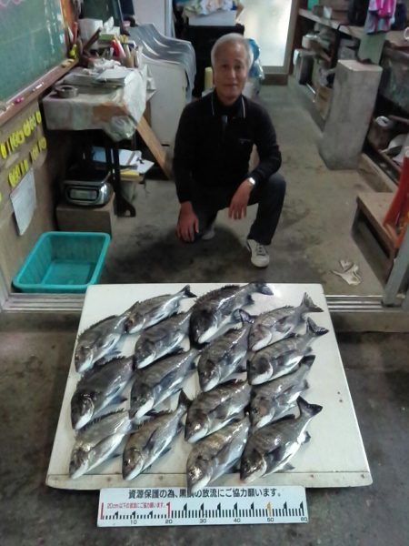 ふじや釣舟店 釣果