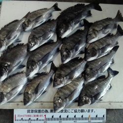 ふじや釣舟店 釣果