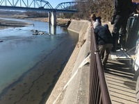 秩父フライフィールド 釣果