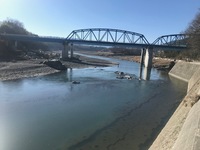 秩父フライフィールド 釣果