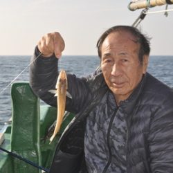 根岸丸 釣果