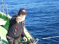 なごみ船 釣果