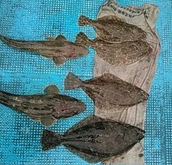 フィッシングガイド りょう 釣果