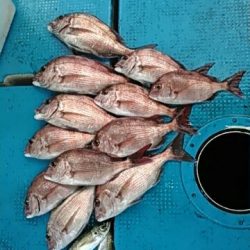 フィッシングガイド りょう 釣果