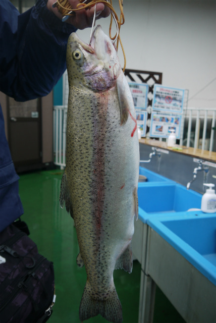 としまえんフィッシングエリア 釣果