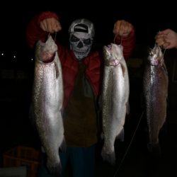 としまえんフィッシングエリア 釣果