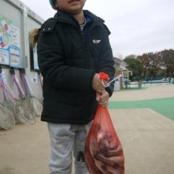 としまえんフィッシングエリア 釣果