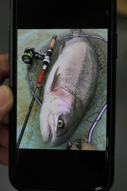 としまえんフィッシングエリア 釣果