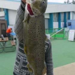 としまえんフィッシングエリア 釣果