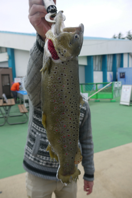 としまえんフィッシングエリア 釣果