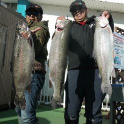 としまえんフィッシングエリア 釣果