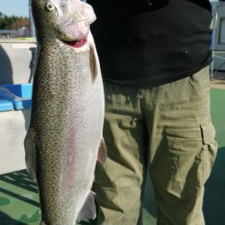 としまえんフィッシングエリア 釣果