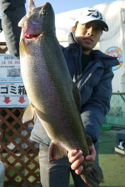 としまえんフィッシングエリア 釣果