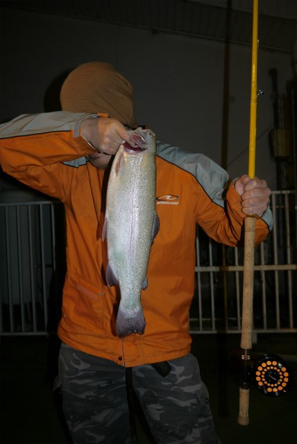 としまえんフィッシングエリア 釣果