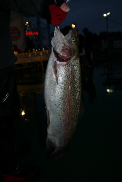としまえんフィッシングエリア 釣果