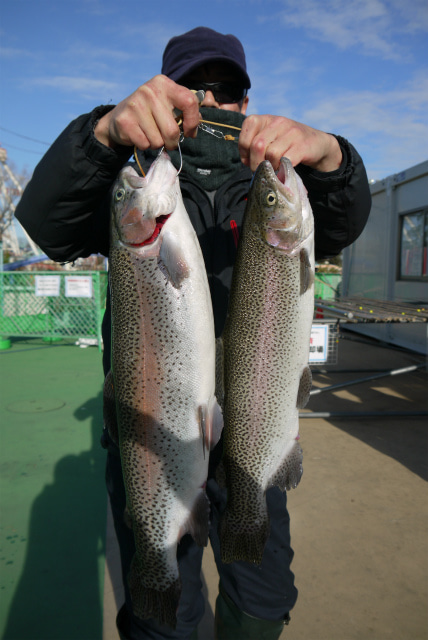 としまえんフィッシングエリア 釣果