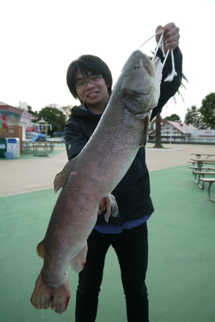 としまえんフィッシングエリア 釣果