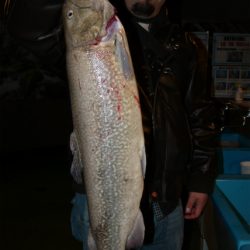 としまえんフィッシングエリア 釣果