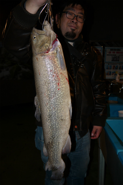 としまえんフィッシングエリア 釣果