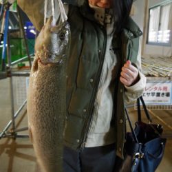 としまえんフィッシングエリア 釣果