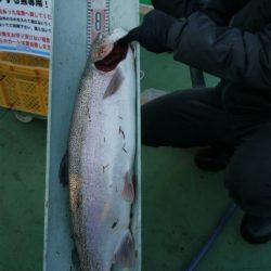 としまえんフィッシングエリア 釣果