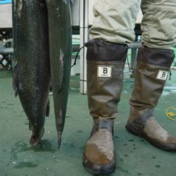 としまえんフィッシングエリア 釣果
