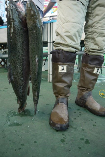 としまえんフィッシングエリア 釣果