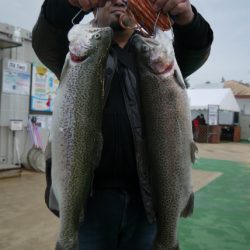 としまえんフィッシングエリア 釣果