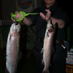 としまえんフィッシングエリア 釣果