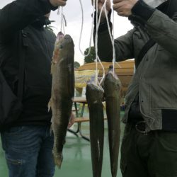 としまえんフィッシングエリア 釣果