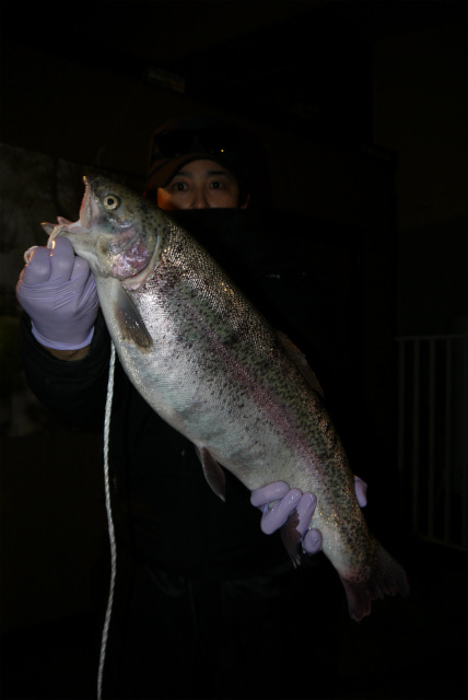 としまえんフィッシングエリア 釣果