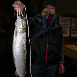 としまえんフィッシングエリア 釣果