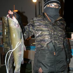 としまえんフィッシングエリア 釣果